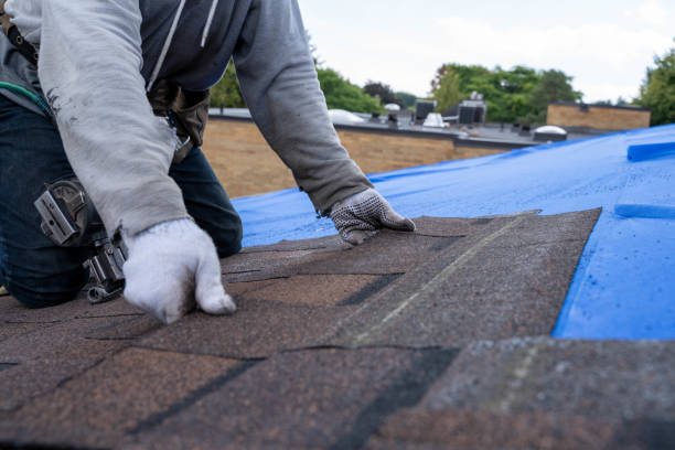 Gutter Installation and Roofing in Wartburg, TN