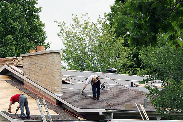 Best Residential Roofing Contractor  in Wartburg, TN